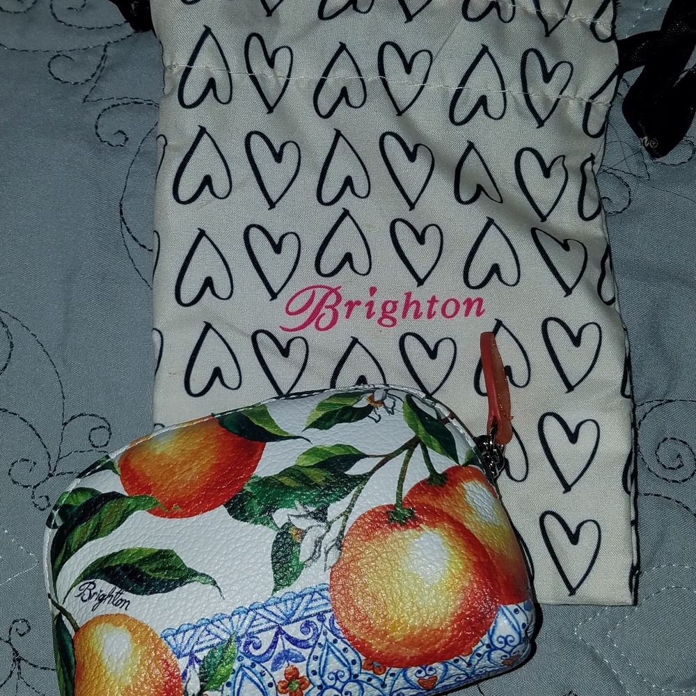 Brighton coin pouch